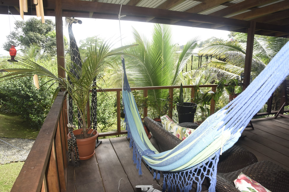 Porch Hammock